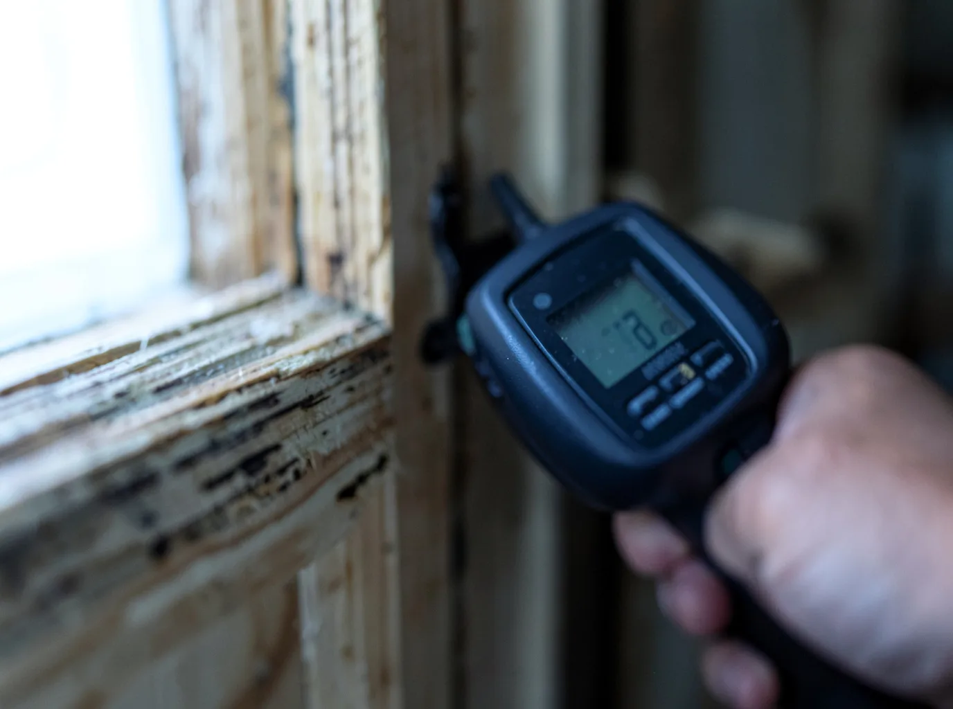 Moisture Inspection And Documentation in Davison, MI